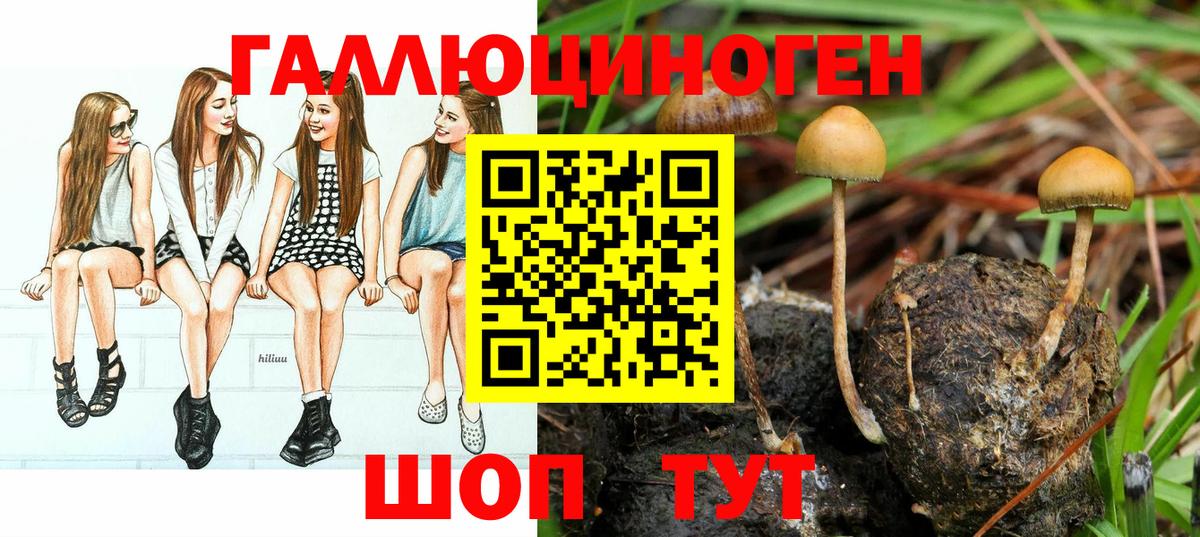 Псилоцибиновые грибы MAGIC MUSHROOMS Томск
